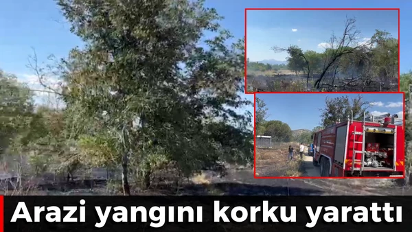 Arazi yangını korku yarattı