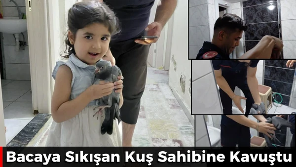Bacaya Sıkışan Kuş Sahibine Kavuştu