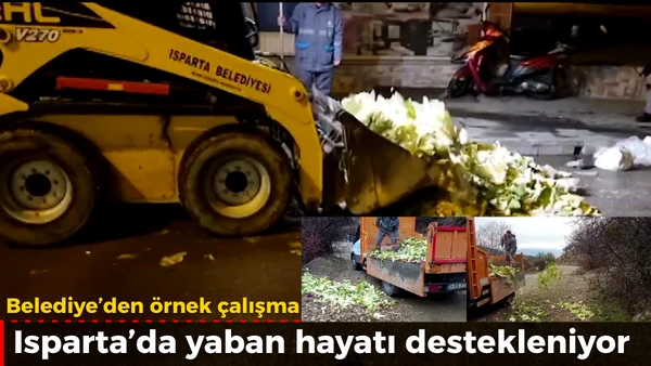 Belediye&rsquo;den Yaban Hayvanlarına Destek