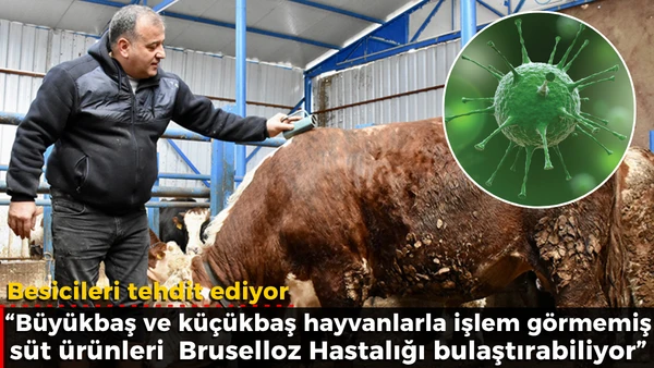Besicileri tehdit ediyor   
