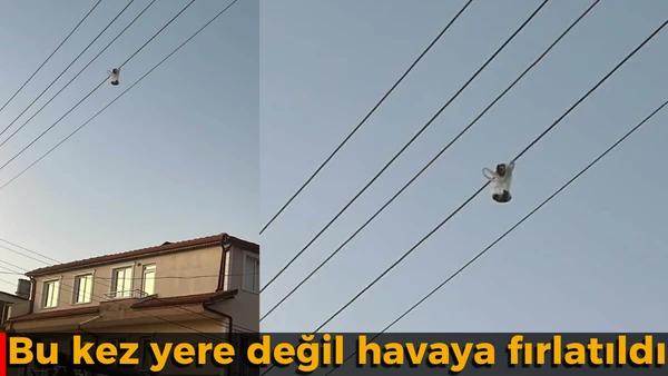 "Bug&uuml;n ger&ccedil;ekten pes dedim"