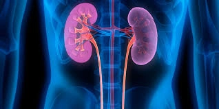 D&uuml;nya B&ouml;brek G&uuml;n&uuml;