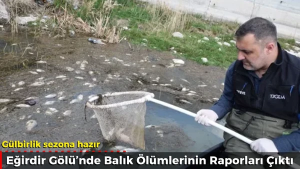 Eğirdir G&ouml;l&uuml;&rsquo;nde Balık &Ouml;l&uuml;mlerinin Raporları &Ccedil;ıktı