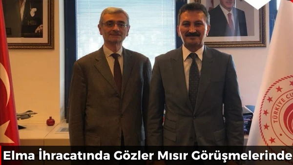 Elma İhracatında G&ouml;zler Mısır G&ouml;r&uuml;şmelerinde