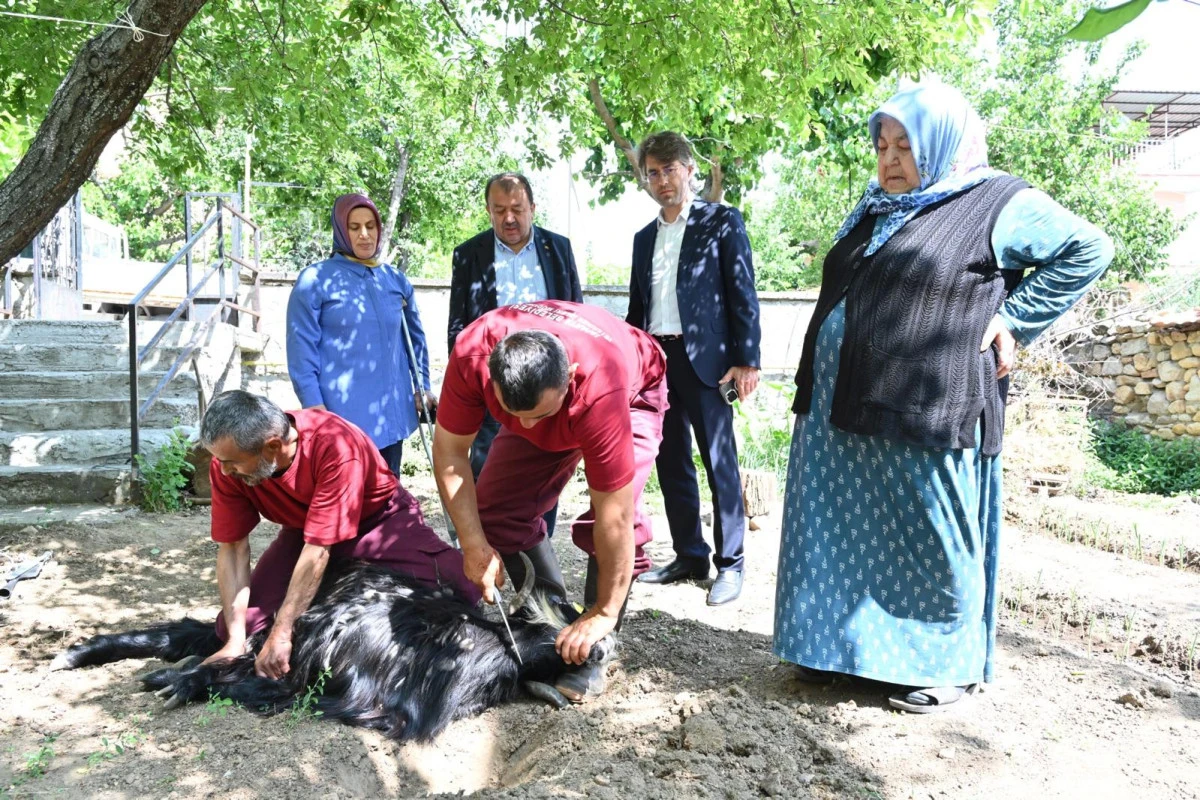 Evlere giderek tek tek kurbanları kestiler