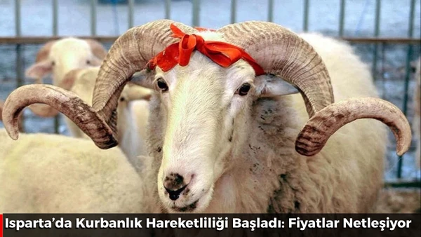Fiyatlar netleşiyor