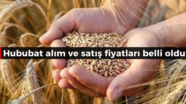 Hububat alım ve satış fiyatları belli oldu