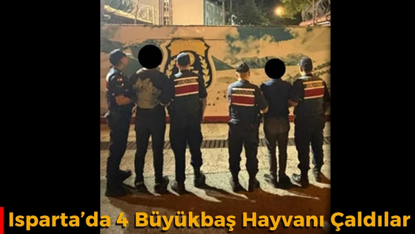 Isparta&rsquo;da 4 B&uuml;y&uuml;kbaş Hayvanı &Ccedil;aldılar