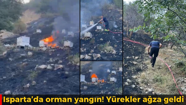 Isparta&rsquo;da orman yangın! Y&uuml;rekler ağza geldi
