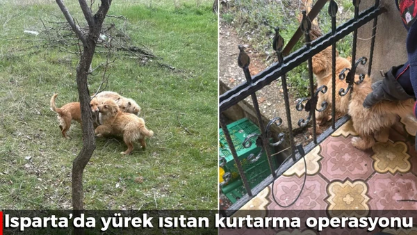 Isparta&rsquo;da y&uuml;rek ısıtan kurtarma operasyonu