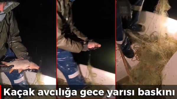 Ka&ccedil;ak avcılığa gece yarısı baskını 