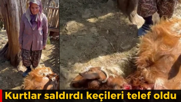 Kurtların Saldırısında 2 Ke&ccedil;i Telef Oldu