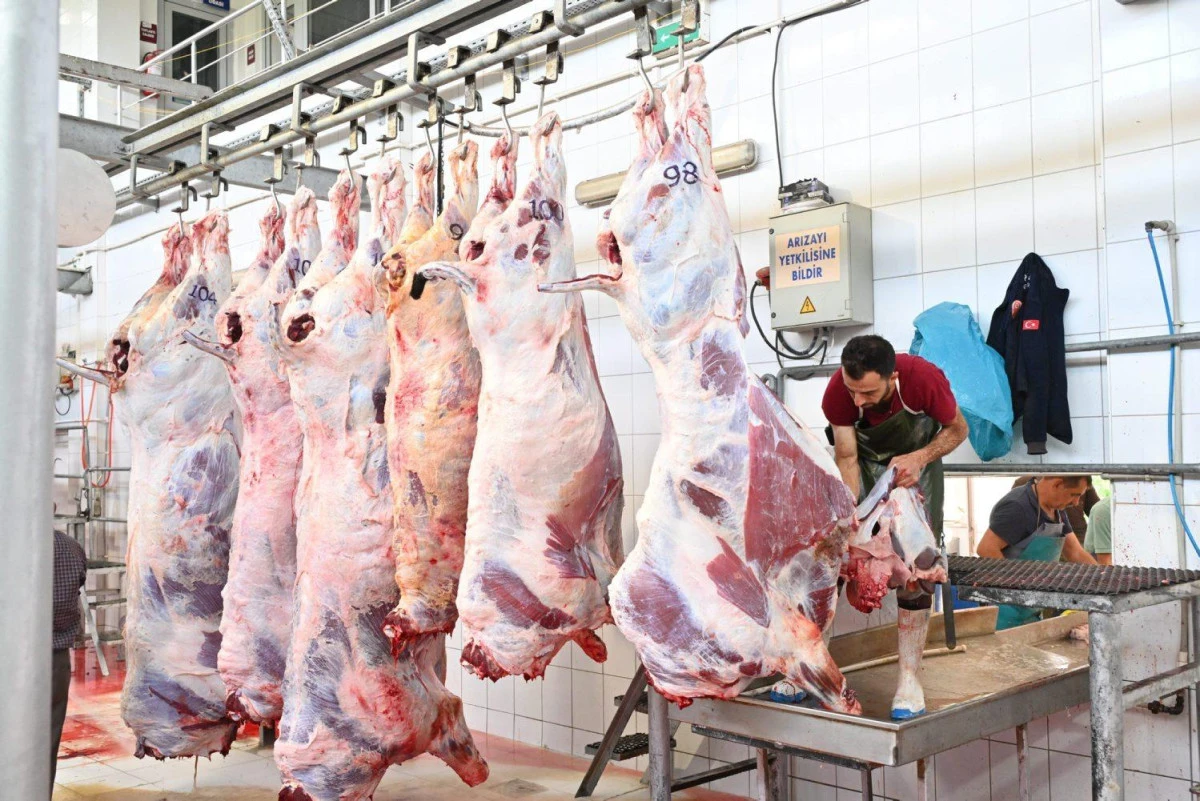 Mezbahada 250 büyükbaş kurban kesimi gerçekleştirildi