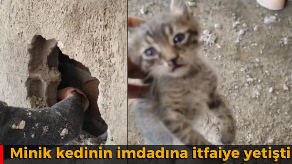 Minik kedinin imdadına itfaiye yetişti