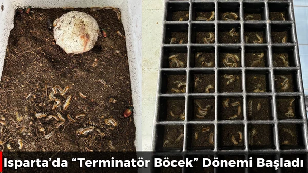 Ormanları Kurtaracak Hamle