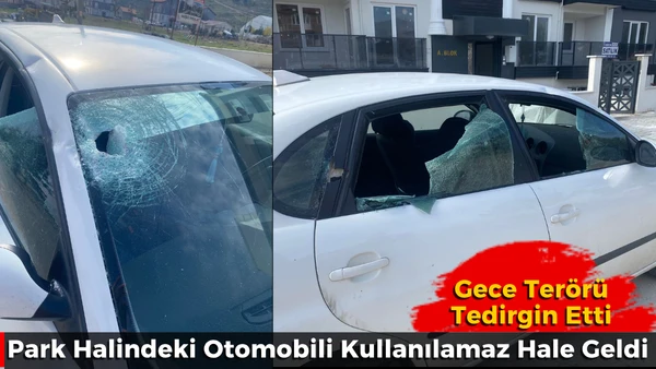 Park halindeki otomobil par&ccedil;alandı