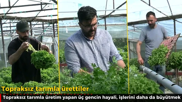Topraksız tarımla &uuml;rettiler 