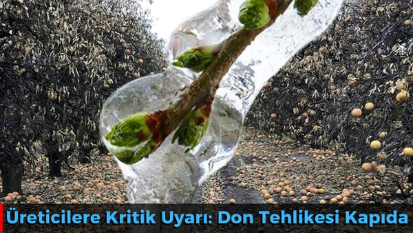 &Uuml;reticilere Kritik Uyarı: Don Tehlikesi Kapıda