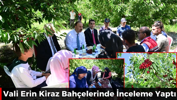 Vali Erin Kiraz Bah&ccedil;elerinde İnceleme Yaptı