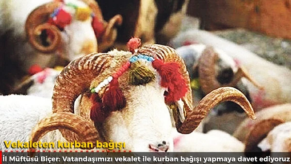 Vekaleten kurban bağışı